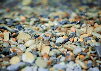 Waves of the sea washed pebbles. Smooth multi-colored stones sparkle in the sun.