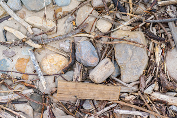 Flotsam at the beach