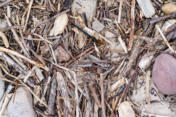 Flotsam at the beach. Let´s clean up the beach