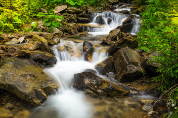 Fototapeta na wymiar Forest creek with waterfalls