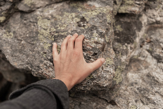 Contact entre la nature et l'Homme