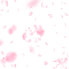 Sakura petals falling down. Romantic pink flowers explosion. Flying petals on white square backgroun