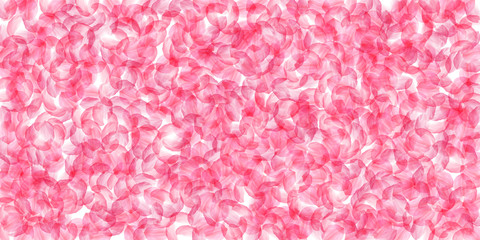 Sakura petals falling down. Romantic pink silky big flowers. Thick flying cherry petals. Wide scatte