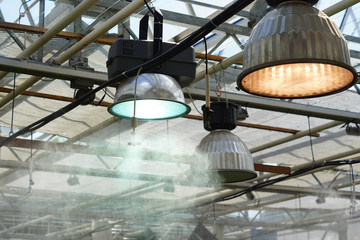 irrigation and lighting system in the conservatory