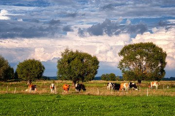 Wiejskie klimaty Podlasie