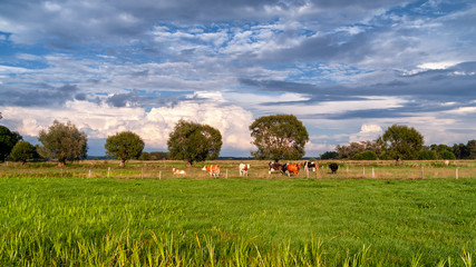 Wiejskie klimaty Podlasie © podlaski49