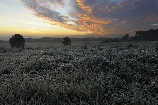 Dawn, Glonn, Bavaria, Germany, Europe