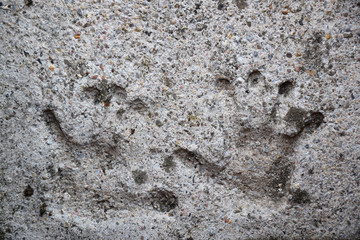 Child´s handprints set in concrete