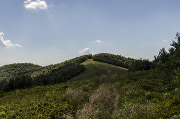 panorama Bieszczady połoniny