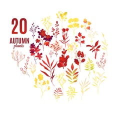 Autumn plants and leaves set with various foliage decorative elements isolated on white background. Beautiful fall seasonal objects for your design in cartoon gradient vector illustration.