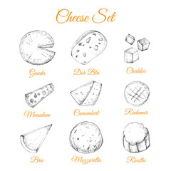 Sketch hand drawn cheese vector illustration set for poster identity, brand cuisine design with gauda, cheddar, riccota
