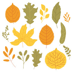 Flat Autumn leaves set, isolated on white background. Simple cartoon flat style, vector illustration.