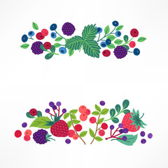 Fruit and berry compositions with strawberry, blackberry, cranberry, blueberry, elderberry