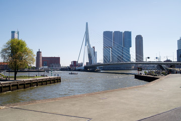 Rotterdam skyline from Erasmus Bridge.