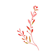 Abstract autumn red plant flower icon. Meadow, garden romantic wedding invitation card, autumnal seasonal holiday, harvest decoration element. Floral vector illustration isolated
