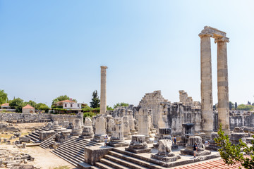Obraz premium Apollo Temple at Didyma in Didim,Aydin,Turkey.