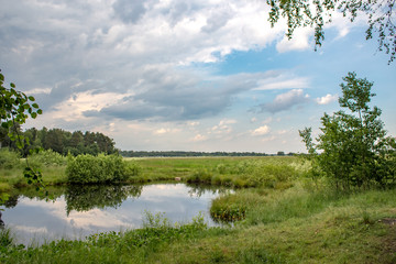 Summer landscape on the lake