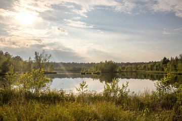Fototapeta na wymiar Summer landscape on the lake
