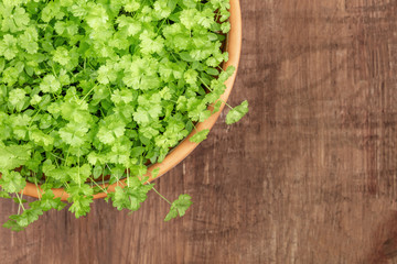 Overhead photo of fresh green parsley in pot with copy space