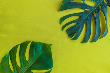 Leaves of monstera philodendron plant on yellow background, flat lay.