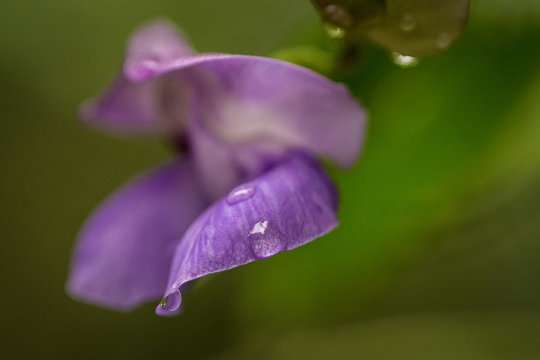 Droplets