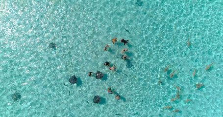 snorkeling in a dream lagoon in French Polynesia, in an aerial view