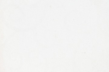 White canvas background