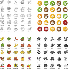 Spices icons set