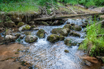 Naklejka na ściany i meble A small river with rocks deep in the forests of Latvia. Natural environment.