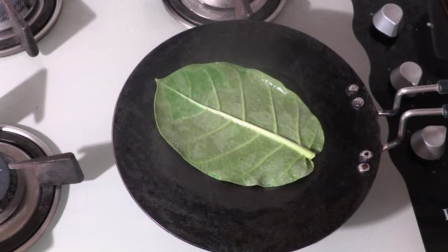 aak leaf on heat tawa,aak leaf,aak leaves,aak leaf fry,aakda leaves,aakda,akda,Calotropis gigantea,AKDA, AAK. Calotropis procera Asclepiadaceae flowers