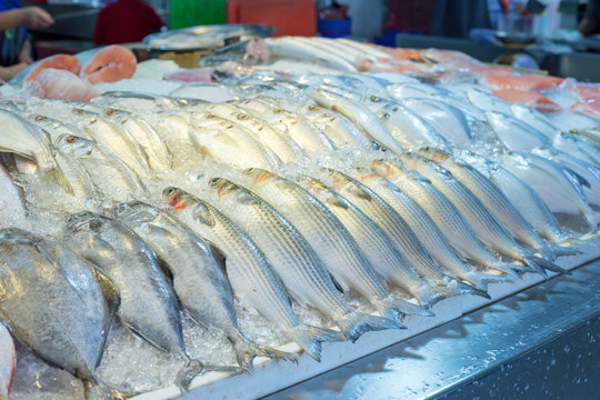 Mixed fresh fish in Thailand market as mulet fish.