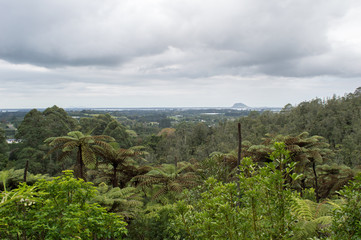 Obraz premium Te Puna Quarry park