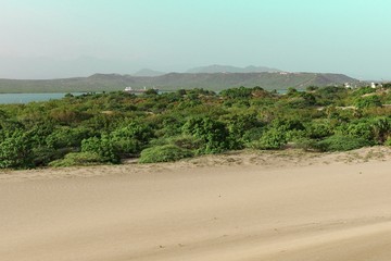 Salinas bani RD dunas Vegetacion 