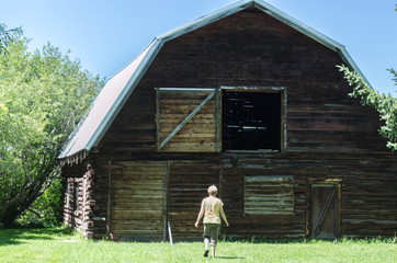 rear view of a middle aged Caucasian woman walking toward a large antique barn with an open hayloft on a sunny summer day