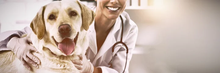 Deurstickers Dierenarts Zelfverzekerde vrouwelijke dierenarts met hond