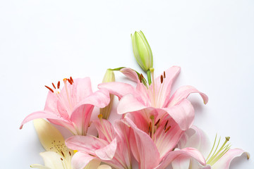 Composition with beautiful blooming lily flowers on white background