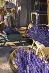 typical decoration with lavender and wooden handcart, Provence, France, sotirefront in Sault, department Vaucluse, region Provence-Alpes-Côte d'Azur