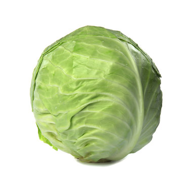 Fresh cabbage on white background. Healthy food