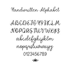 Vector Calligraphy Alphabet. Exclusive Letters. Decorative handwritten brush font for Wedding Monogram, Logo, Invitation