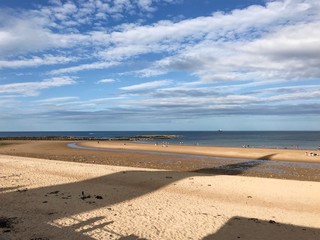 The Seaside Landscape