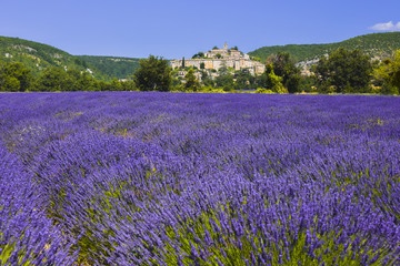 Fototapeta na wymiar village Banon with lavender field in the foreground, Provence, France, department Alpes-de-Haute-Provence