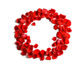 Red rose petals on white background, top view