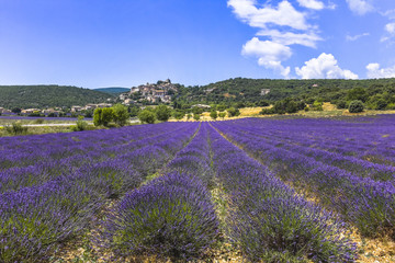 Naklejka na ściany i meble panorama wit lavender and small town, vilalge Simiane-la-Rontonde, Provence, France, department Alpes-de-Haute-Provence