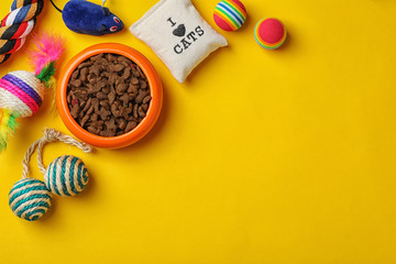 Bowl with food for cat and accessories on color background. Pet care