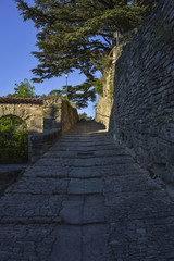 Fototapeta na wymiar food path in Bonnieux under typic cedars trees, Provence, France, massif of Luberon, ascent to old church of the village, region Provence-Alpes-Côte d'Azur