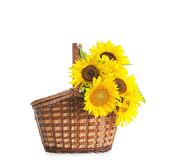 Obraz premium Wicker basket with beautiful yellow sunflowers on white background