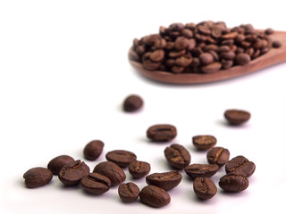Roasted coffee beans.