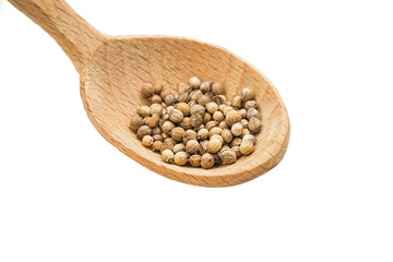 Seeds of coriander on a white background in a wooden spoon. Cilantro isolated. Coriandrum sativum.