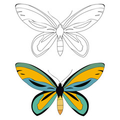 butterfly book coloring page