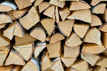 chopped birch firewood stacked in woodpile